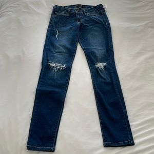 Flying Monkey Ripped Skinny Jeans